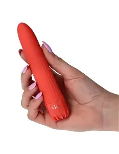 Vibrador Classics Vermelho Pequeno - PR2010322070